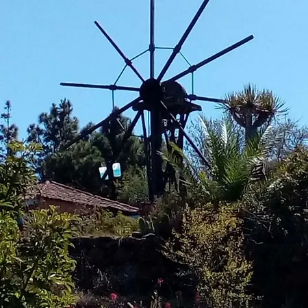 Casa Las Tres Palmeras Puntagorda (La Palma)