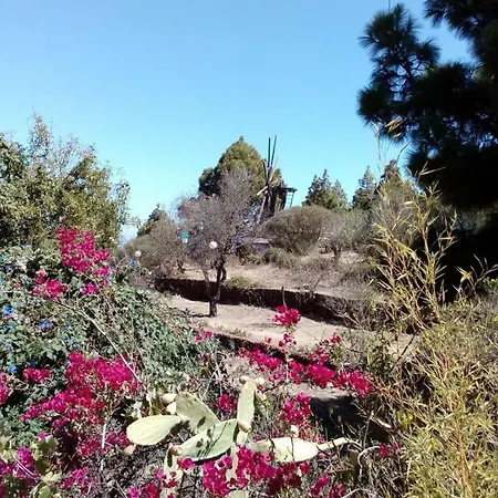 Casa Las Tres Palmeras Holiday home Puntagorda (La Palma)